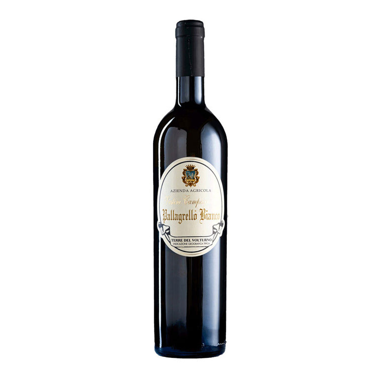 VINO PALLAGRELLO BIANCO 2023 IGT -75CL  VESTINI CAMPAGNANO TERRE DEL VOLTURNO