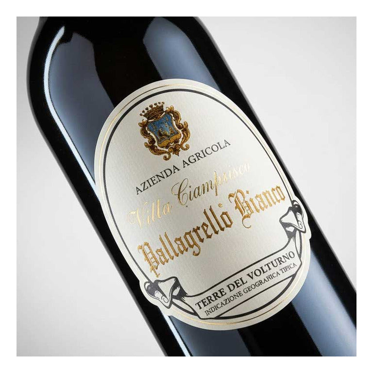 VINO PALLAGRELLO BIANCO 2023 IGT -75CL  VESTINI CAMPAGNANO TERRE DEL VOLTURNO
