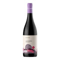 VINO VILLA RAIANO AGLIANICO 2022 (1 pz) CAMPANIA IGT-75CL