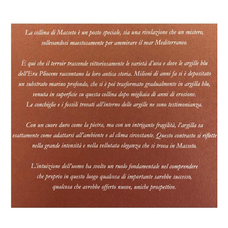 VINO MASSETO 2019 TOSCANA IGT-75CL (1 pz) 
