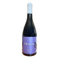 VINO AGLIANICO TRILLO FRIZZANTE (1 pz) CANTINA DI SOLOPACA IGP-75CL
